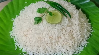 ভাত
