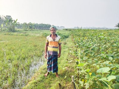 রাজশাহীতে অতিবৃষ্টিতে ১০ কোটি টাকার ফসল নষ্ট, ক্ষতিগ্রস্ত ৪ হাজার কৃষক