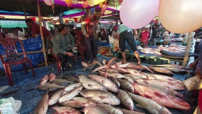 মেলায় প্রায় কোটি টাকার মাছ বেচাবিক্রি হয়