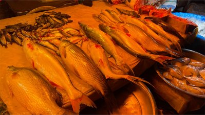 মাছ