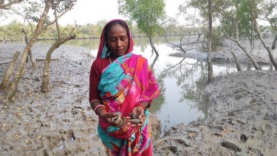 বর্তমানে জলবায়ুর বিরুদ্ধে একপ্রকার যুদ্ধ করে টিকে আছে তারা