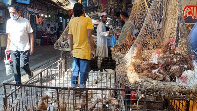 মুরগির দাম কিছুটা কমেছে