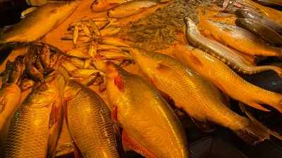 মাছের দাম আগের মতোই