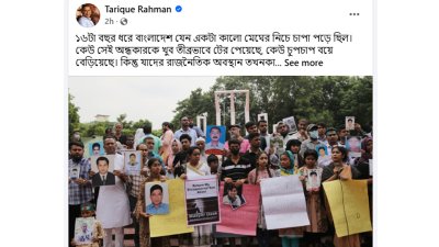 তারেক রহমানের ফেসবুক পোস্টের স্ক্রিনশট