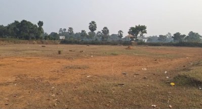 অনেক জায়গায় বাগানের মাটি কেটে নেওয়া হয়েছে, কোথাও উর্বর জমি মরুভূমির মতো পড়ে আছে