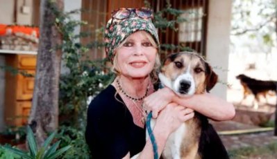 ব্রিজিত বার্দো