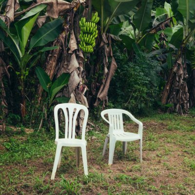 &lsquo;দেবি তিরার মাস ফতোস&rsquo; অ্যালবামের প্রচ্ছদ