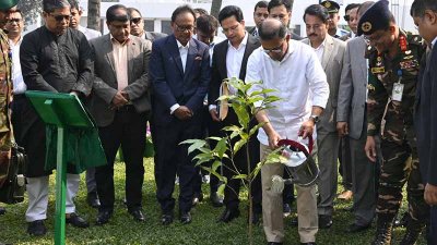 তেজগাঁও কার্যালয় প্রাঙ্গণে একটি স্বর্ণচাঁপা ফুলের চারা রোপণ করেন প্রধানমন্ত্রী