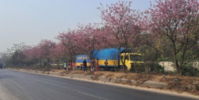 যানবাহনের কোলাহলে মুখর সড়কটি এখন আর কেবল যাতায়াতের পথ নয়, বরং প্রকৃতির রঙিন সাজে সেজে উঠেছে