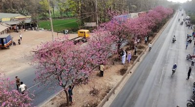 কেউ কেউ সরাসরি বিভাজকের ওপর ওঠে ছবি তুলছেন