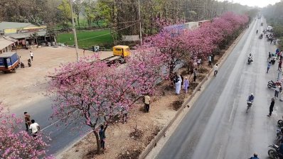 আবার কেউ মহাসড়কের মাঝখানে দাঁড়িয়ে কিংবা বসে ভিডিও ধারণ করছেন। এতে যেকোনো সময় বড় ধরনের দুর্ঘটনার আশঙ্কা তৈরি হচ্ছে