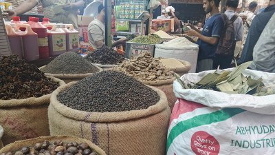 এলাচ বাদে প্রায় সব ধরনের মসলার দাম কমেছে