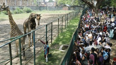 জাতীয় চিড়িয়াখানায় দর্শনার্থীদের ভিড় (ছবি: নাসিরুল ইসলাম)