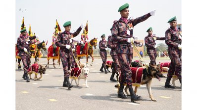 বিজিবির স্বাধীনতা দিবস উদযাপন  