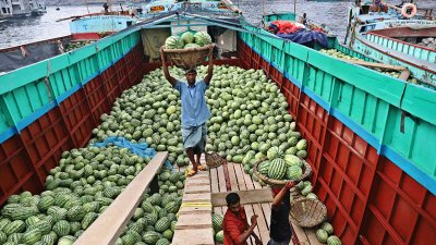 নৌকা থেকে নামানো হচ্ছে তরমুজ