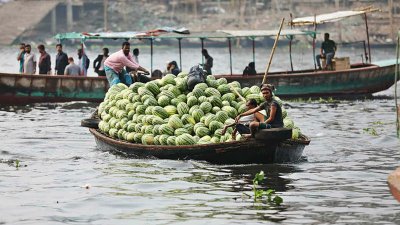 নৌকায় আসছে তরমুজ