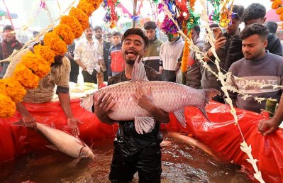 মেলা ঘিরে বড় মাছের পসরা সাজিয়ে বসেন দোকানিরা