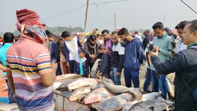 মেলার প্রধান আকর্ষণ বড় বড় মাছ