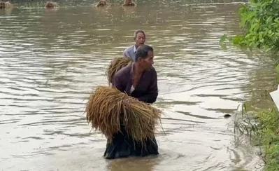 খাগড়াছড়িতে টানা বর্ষণ ও পাহাড়ি ঢলে কৃষি খাতে ব্যাপক ক্ষতি হয়েছে