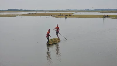নেত্রকোনায় বৃষ্টিতে পানি বেড়ে হাওরে কৃষকের চোখের সামনেই ক্ষেতের পাকা বোরো ধান তলিয়ে যায়