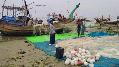 নদীতে জাল ফেলেও মিলছে না কাঙ্ক্ষিত ইলিশ