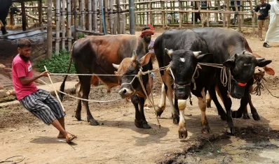 ইতোমধ্যেই হাটে জায়গা দখল করে নিয়েছেন ব্যবসায়ীরা