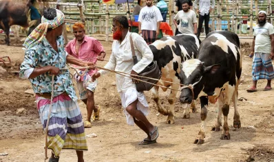 দেশের বিভিন্ন প্রান্ত থেকে ব্যবসায়ীরা কোরবানির পশু নিয়ে আসছেন
