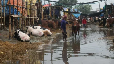 গাবতলী হাটে জলাবদ্ধতা
