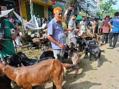কোরবানির হাটে ছাগলে ‘পাগলপ্রায়’ ব্যবসায়ীরা