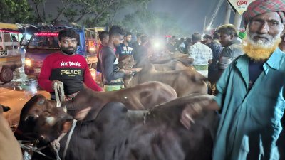 গাবতলী হাটের মূল অংশে জায়গা না পেয়ে বেঁড়িবাধের রাস্তায় গরু নিয়ে দাঁড়িয়ে আছেন অনেকে। তবে, ক্রেতা নেই। ক্রেতা দেখলেই গরু কেনার জন্য অনুরোধ করছেন বিক্রেতারা। ছবি: এস এম আব্বাস