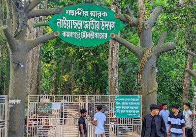 লাউয়াছড়া জাতীয় উদ্যানেও ছিল না তেমন পর্যটক