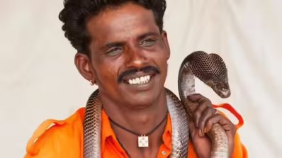 দুনিয়ার আজব ৭টি সাপের মেলা