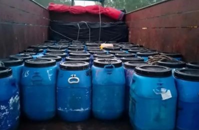বাগদা চিংড়ির রেণু পোনা পাচার