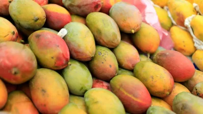 পৃথিবীর সবচেয়ে মিষ্টি আম ‘কারাবাও’