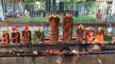 দুনিয়ার আজব ৭টি সাপের মেলা