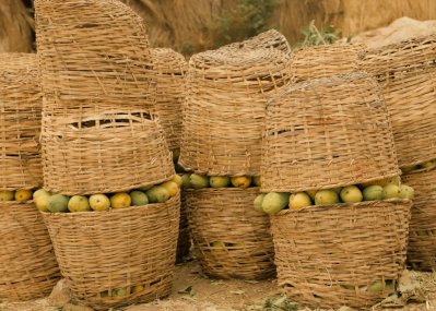 আমপ্রেমীদের জন্য ৬টি ‘স্বর্গরাজ্য’