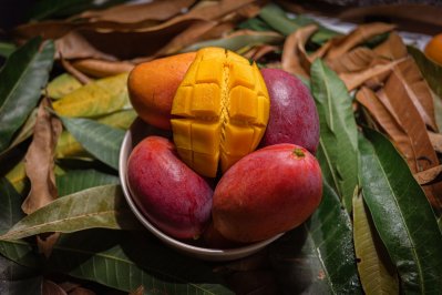 আমপ্রেমীদের জন্য ৬টি ‘স্বর্গরাজ্য’