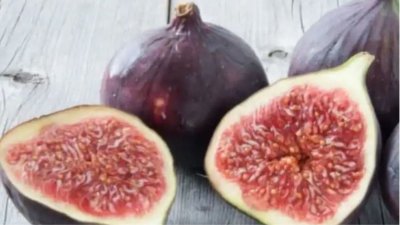 ডুমুর (সংগৃহীত)