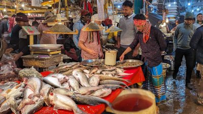 মাছ_বাংলা ট্রিবিউন