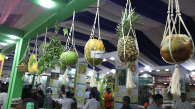 কেআইবি প্রাঙ্গণে জমেছে জাতীয় ফল মেলা-২০২৬।