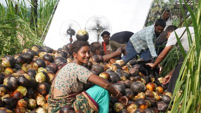 পাগলী চরিত্রে নাজিফা তুষি