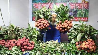 জাতীয় ফল মেলায় লিচুর প্রদর্শনী।