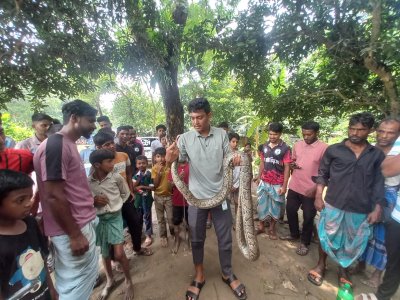 এটি উদ্ধার করেন ওয়াইল্ডলাইফ অ্যান্ড স্নেক রেসকিউ টিম বাংলাদেশের সদস্যরা