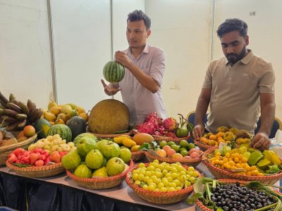 পাহাড়ি ফল