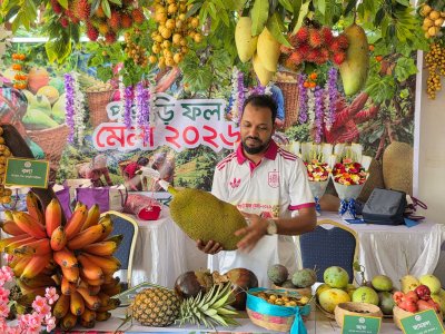 রাজধানীতে পাহাড়ি ফলের মেলা