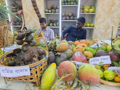বিভিন্ন ধরনের আম, কমলা ও বাদাম