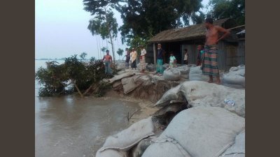 ভাঙনে বিলীন হচ্ছে একের পর এক বসতি 