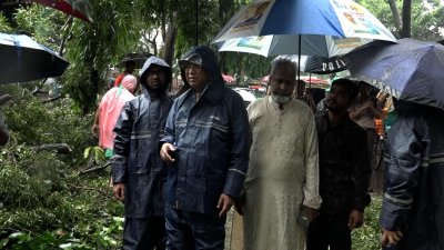গাছ অপসারণের কাজ তদারকিতে ডিএসসিসি প্রশাসক