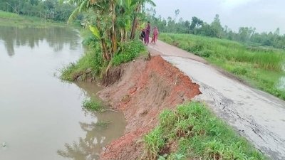 দেড় মাসের ভাঙনে ২০০ ফুটের বেশি সড়ক নদীগর্ভে বিলীন হয়েছে