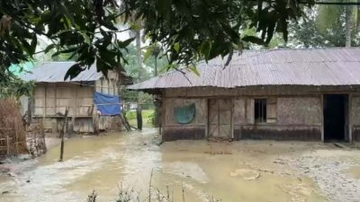 বন্যায় ঘরবাড়ির বেহাল দশা